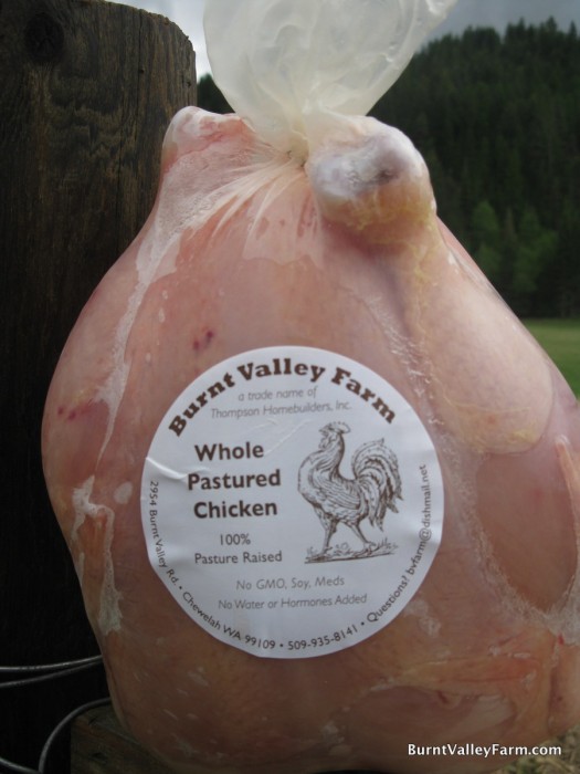 Chicken Burnt Valley Farm